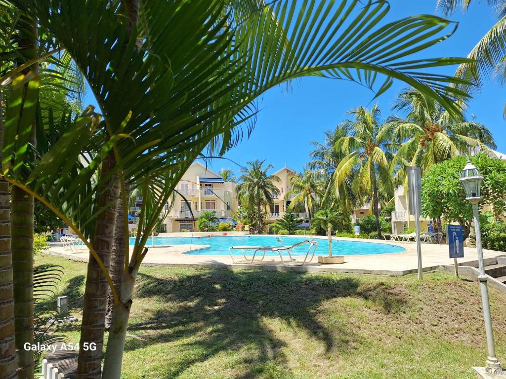 a palm tree in front of a swimming pool at Le Tamier - Amazing holidays in Flic-en-Flac