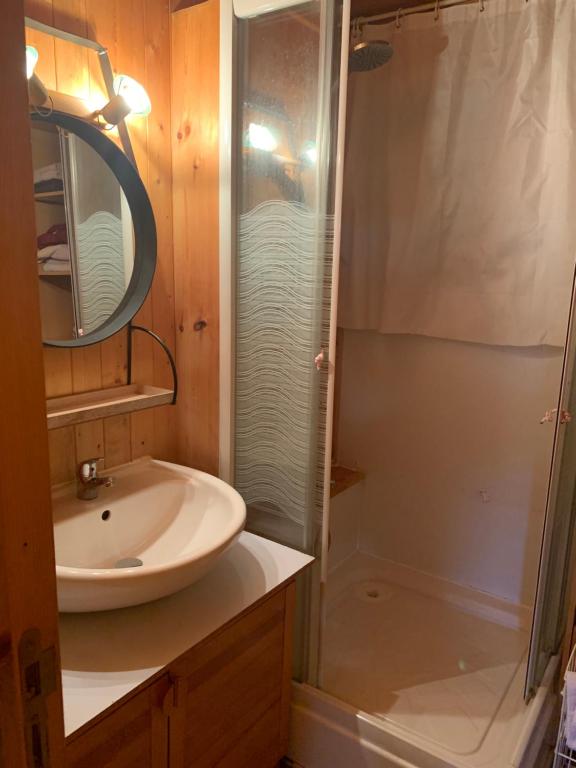 a bathroom with a sink and a shower at Petit chalet 40 m2 en Ubaye BARCELONNETTE in Barcelonnette