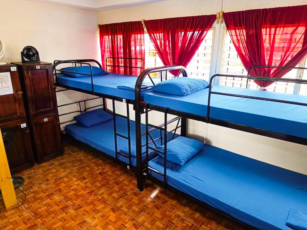 two blue bunk beds in a room with a window at Hostal El Rio in León