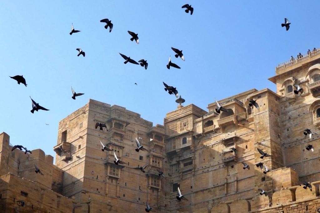 a flock of birds flying in front of a castle at Martine guest house in Jaisalmer