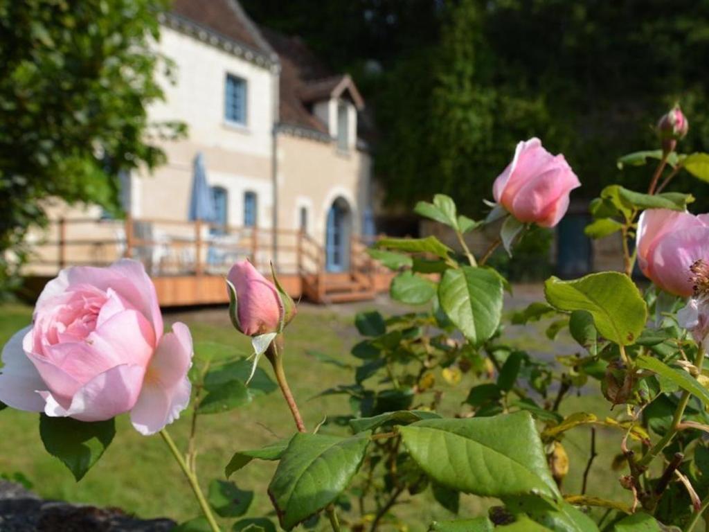 a group of pink roses in front of a house at Maison de caractère 1840 en Touraine avec grand jardin, pêche, à proximité de Loches et châteaux. - FR-1-381-558 in Chambourg-sur-Indre