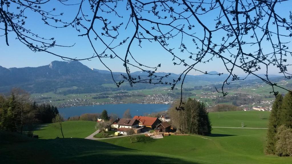 a house on a hill next to a lake at Bio Gesundheitshof Daxinger in Mondsee