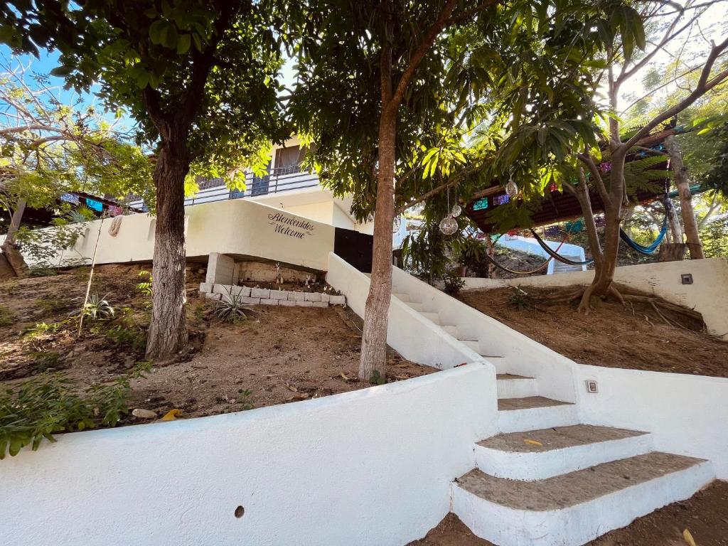 a set of stairs in front of a house with trees at Coco Viejo Posada in San Pedro Pochutla
