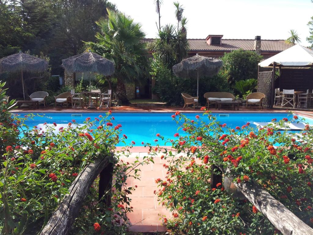 een zwembad met bloemen voor een resort bij Casa Vacanze I Piani in Olmedo
