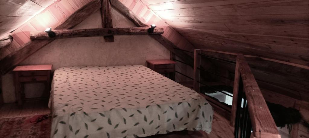 een slaapkamer met een bed op een houten zolder bij La chambre Nature chez les garçons in Saint-Paul-sur-Yenne