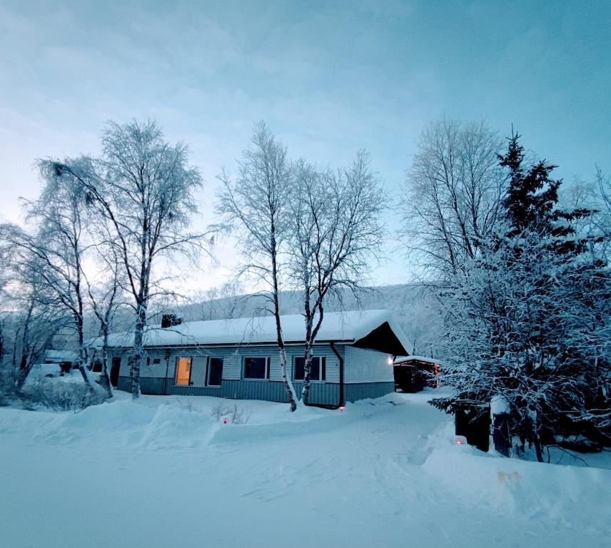 a house is covered in snow with trees at Maggala apartments in Utsjoki