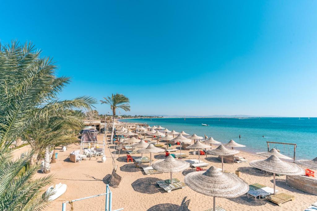 a beach with many umbrellas and chairs and the ocean at Ganet Sinai Resort in Dahab