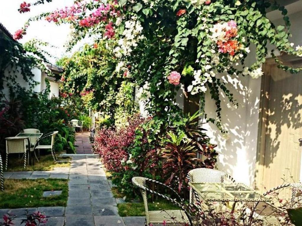 Κήπος έξω από το Sunshine Bungalow