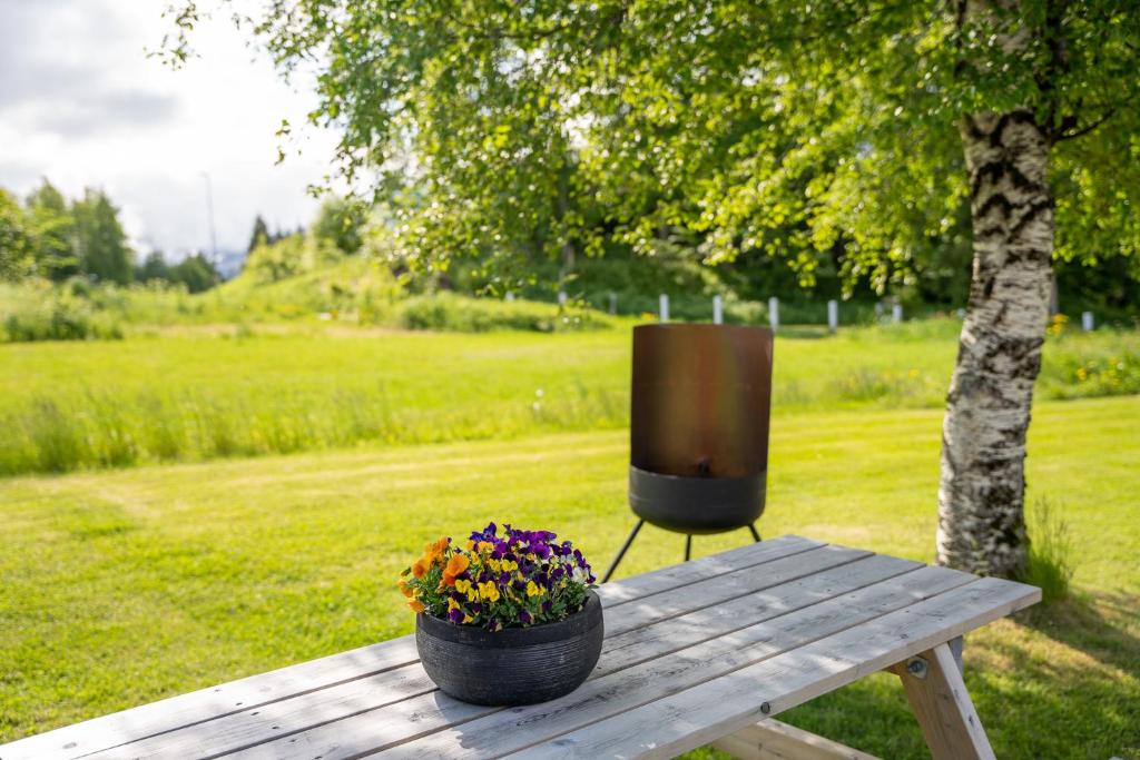 a television sitting on a wooden table with a flower pot at Åndalsnes Hytteutleie in Åndalsnes