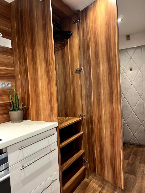 Kuchyň nebo kuchyňský kout v ubytování Apartmán Štěpán