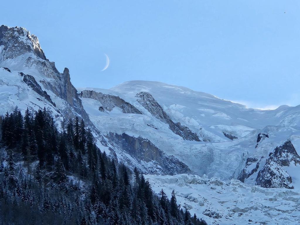 una cordillera cubierta de nieve con árboles en el primer plano en Appartement Cosy, Vue Mont Blanc, Plein Centre, en Chamonix-Mont-Blanc