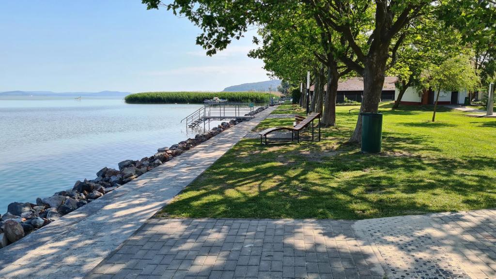 park z ławką przy wodzie w obiekcie HÉDER APARTMANOK w mieście Balatonfenyves