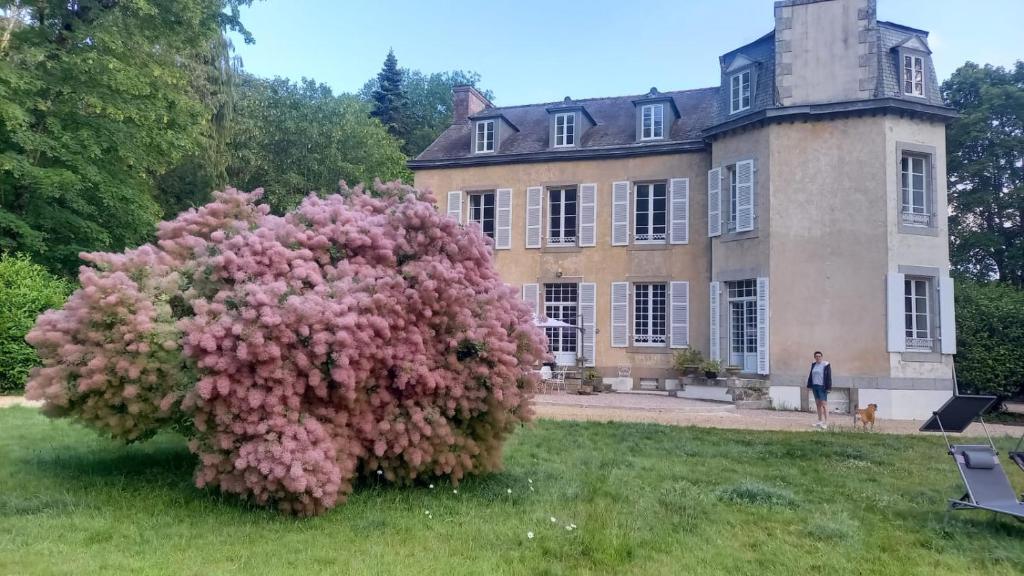 a large pink bush in front of a house at LA LANDE in Pleyber-Christ