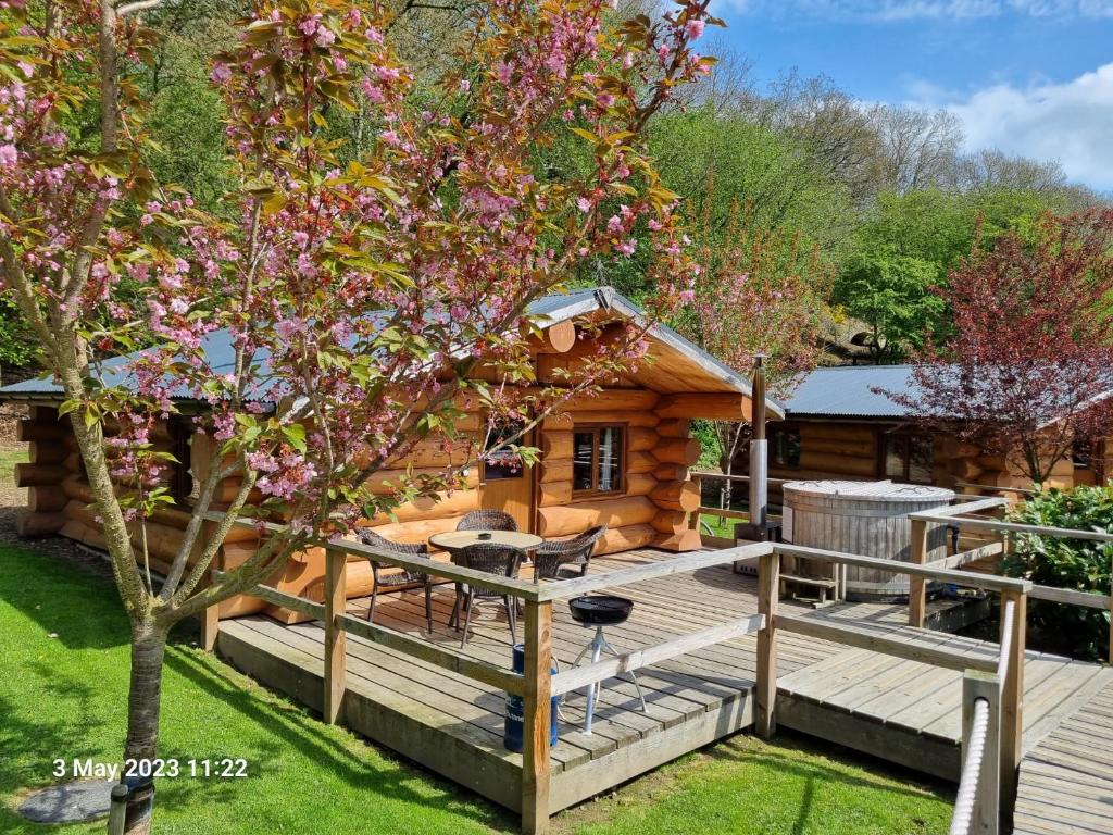 a log cabin with a deck and a tree at Mountain Edge Resort in Church Stretton