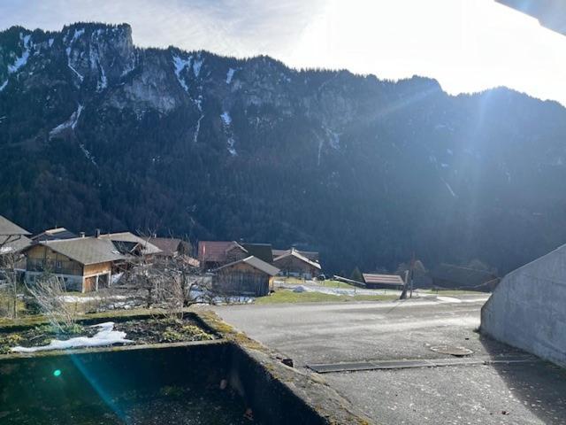Příroda nedaleko apartmánu