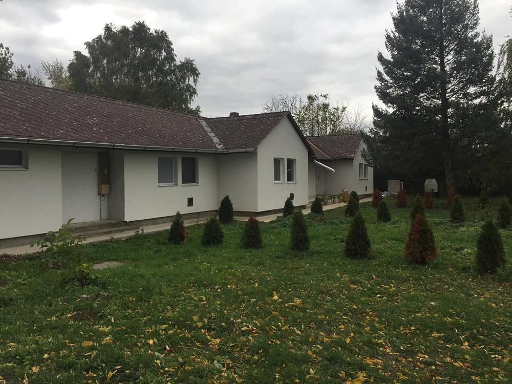 Una casa con un montón de árboles de Navidad en el patio en Koszegi Kis-Kakas - 2 haloszoba+nappalis - sorhaz !, en Kőszeg