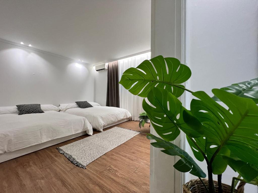 a bedroom with two beds and a potted plant at Oasis in Seoul