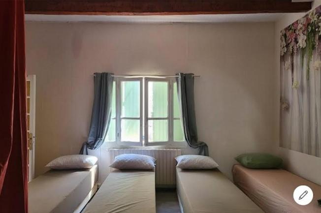 Pokój z dwoma łóżkami przed oknem w obiekcie 2p. Jardin calme centre-ville w Marsylii