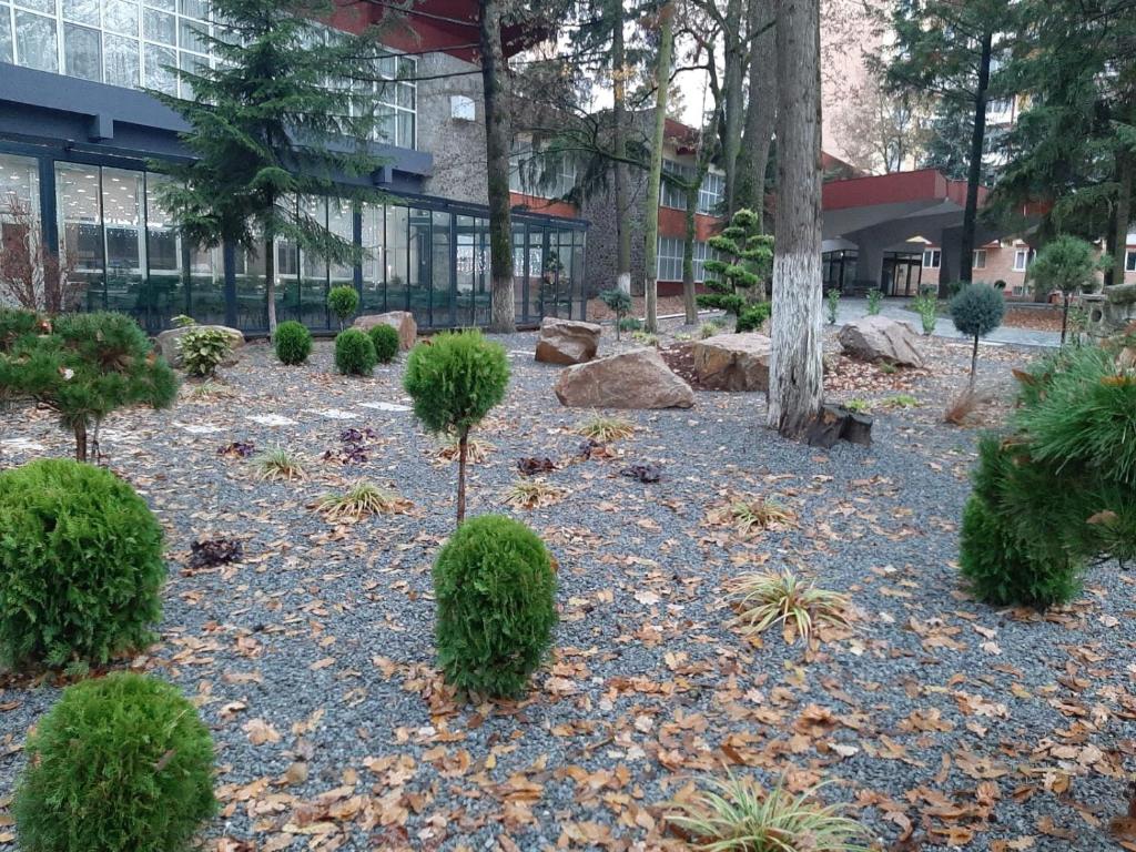 Zahrada ubytování Hotel Padis