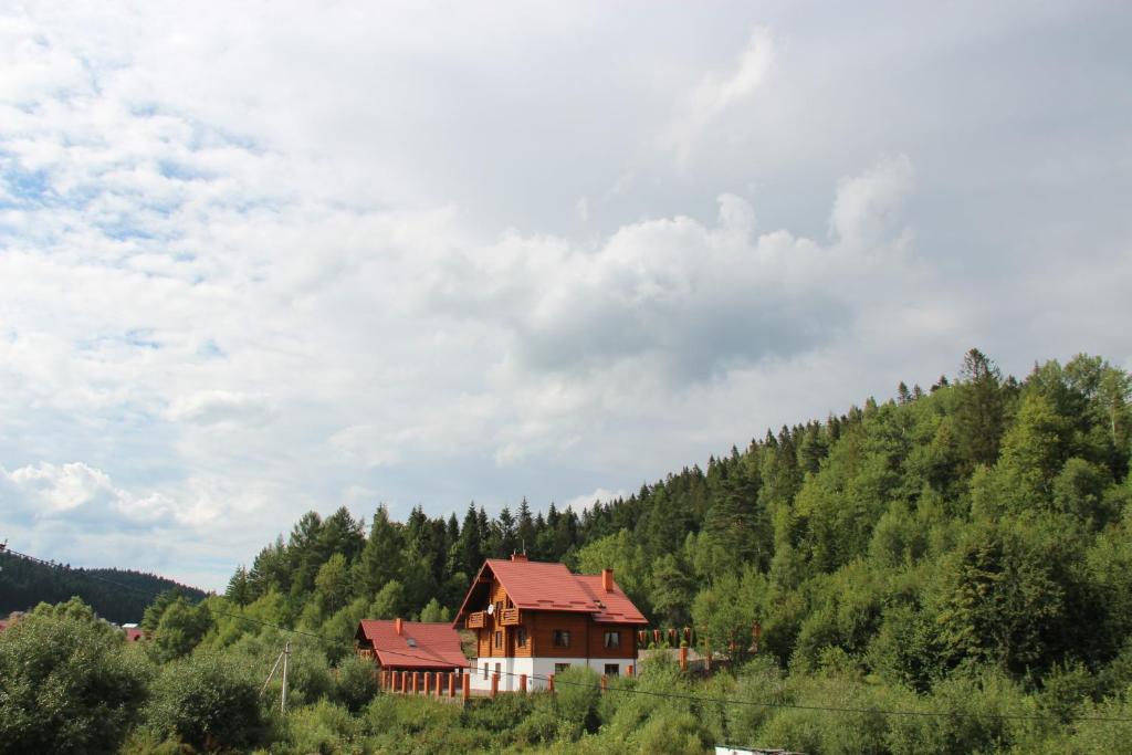 ein Haus an der Seite eines Hügels mit Bäumen in der Unterkunft Villa Leontiya in Schidnyzja