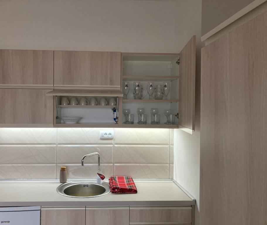 a kitchen with a sink and a counter at Zvezda 2 Zlatar in Nova Varoš