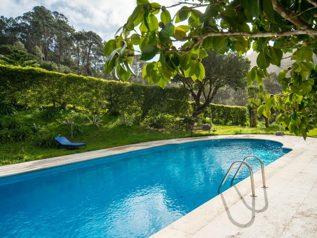 a blue swimming pool in a yard with trees at Holiday Home Oliveiras House - C in Sintra