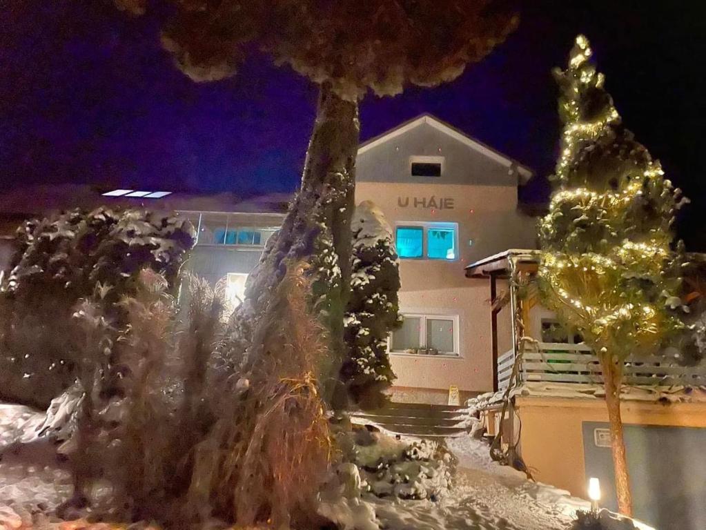 ein Gebäude mit einem Weihnachtsbaum im Schnee in der Unterkunft Pension U háje in Litomyšl