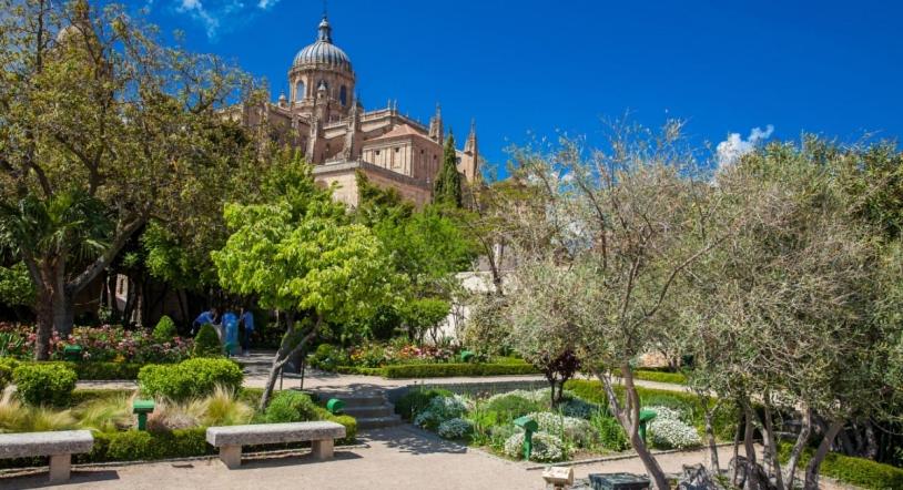 Fotografia z galérie ubytovania Zona Plaza v destinácii Salamanca