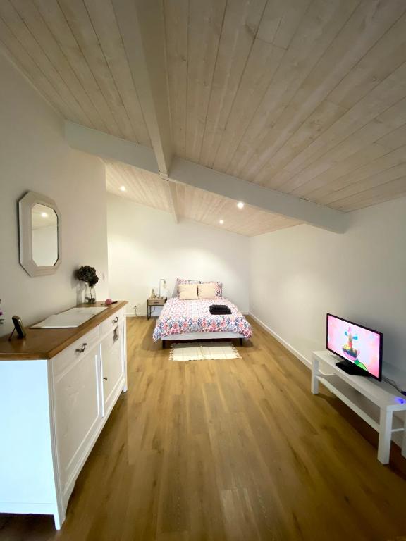 利布爾訥的住宿－Chambre d’hôtes~Château Austerlitz，一间卧室配有一张床和一台平面电视