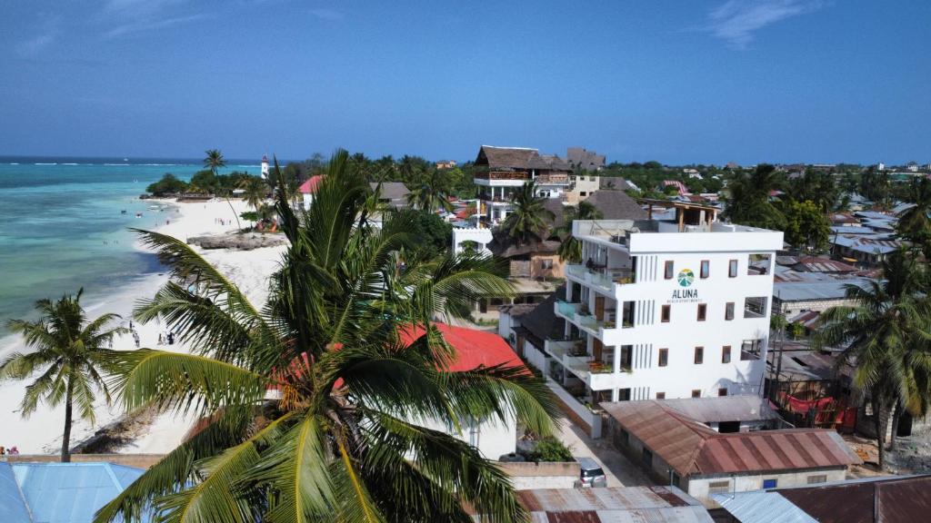 una vista aerea di una spiaggia con una palma di Aluna Beach Apartments a Nungwi