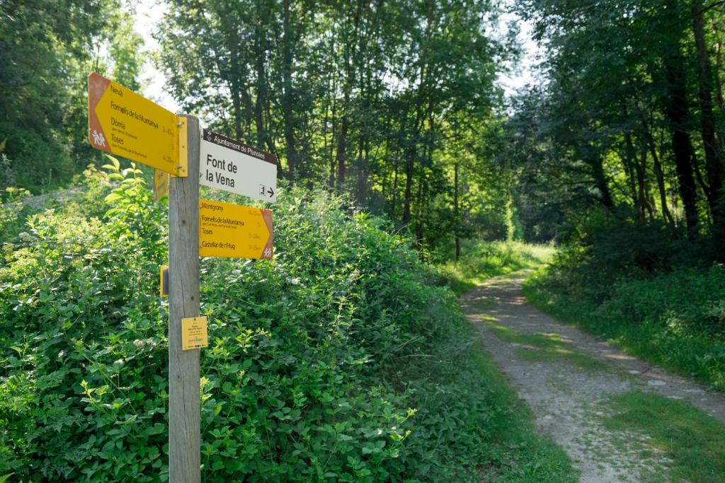 Příroda nedaleko hostelu