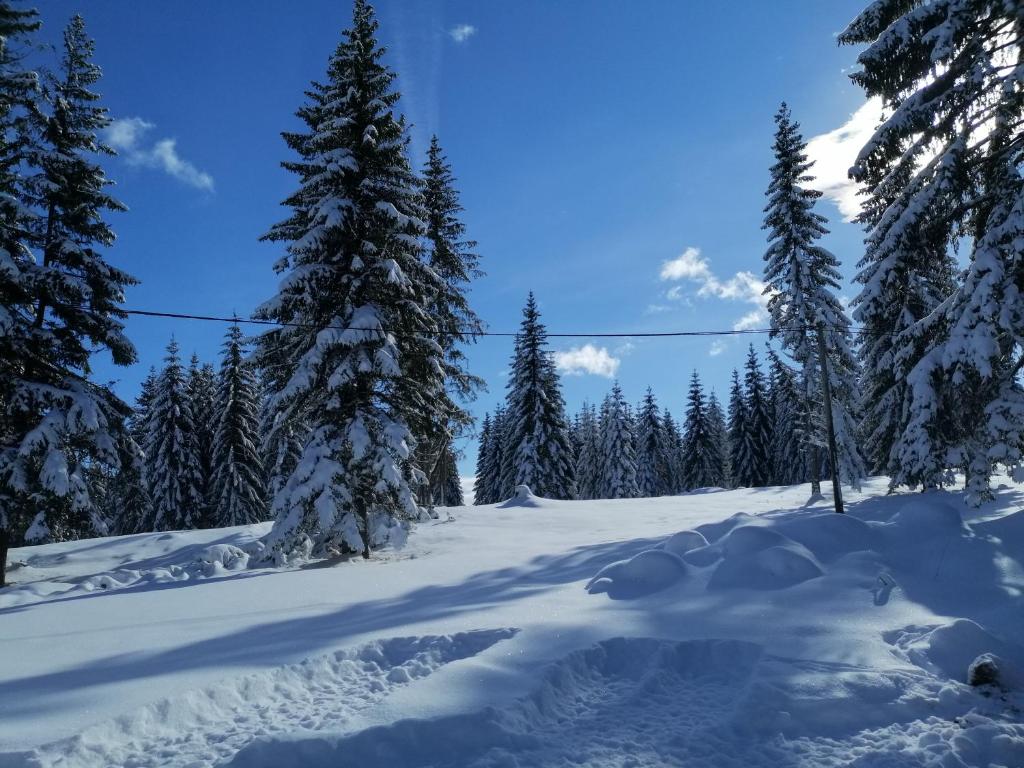 M&K chalets v zimě