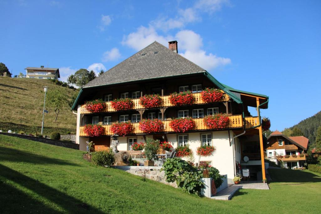 um edifício com caixas de flores ao lado em Ferienwohnung Talblick em Todtmoos