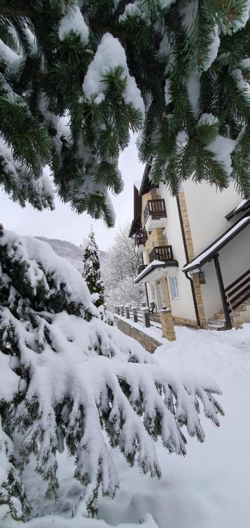 Anikaapartmani, Brzeće om vinteren