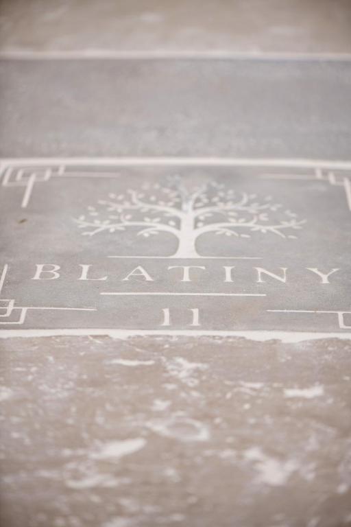 Fotografie z fotogalerie ubytování Blatiny 11 - venkovský dům v destinaci Blatiny