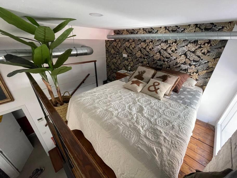 Un dormitorio con una cama y una planta en maceta. en Estudio céntrico junto Wanda, Ifema y aeropuerto, en Madrid