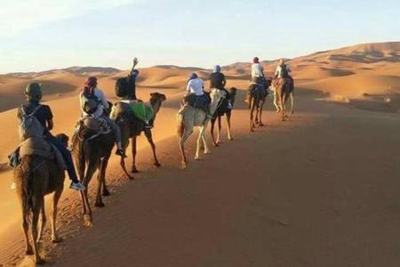 Hosté ubytování Hostel la palmeraie merzouga