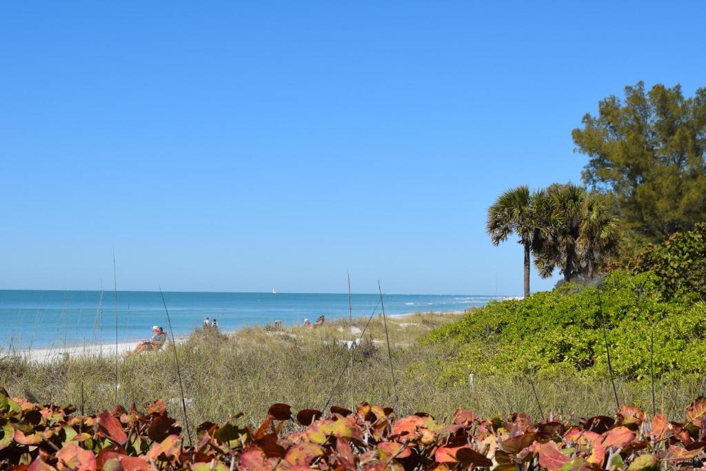 Phong cảnh thiên nhiên gần nhà nghỉ dưỡng