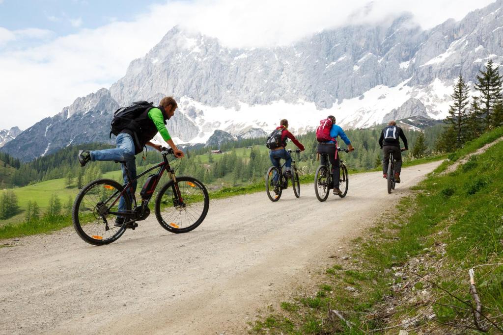 ApartHotel Holzerhof - 18