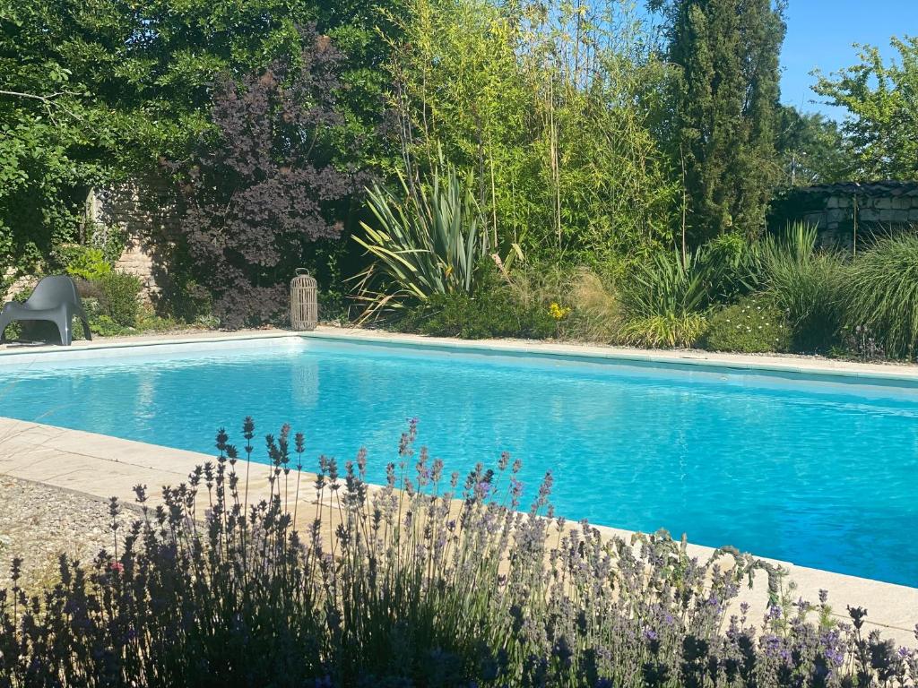 Échallat的住宿－calme et repos garantis au cœur des vignes Charentaises，植物庭院中的游泳池