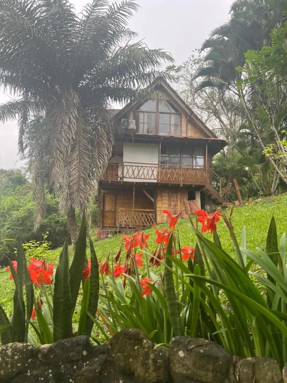 Zahrada ubytování Samai Lodge Holistic Living