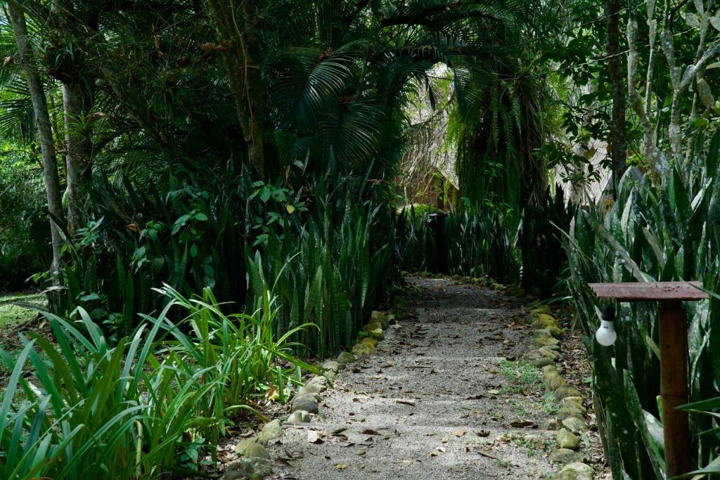 Zahrada ubytování Samai Lodge Holistic Living