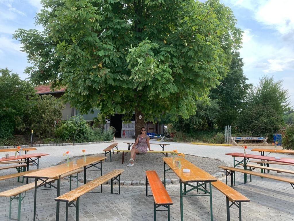 Restaurace v ubytování Reitschule Kronwitter