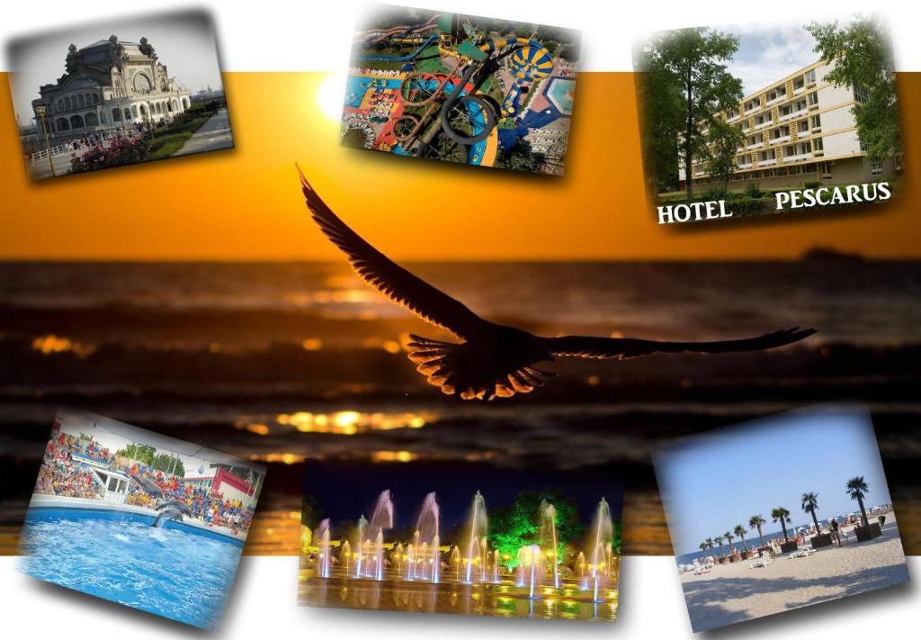 Fotografie z fotogalerie ubytování Hotel Pescarus v destinaci Mamaia