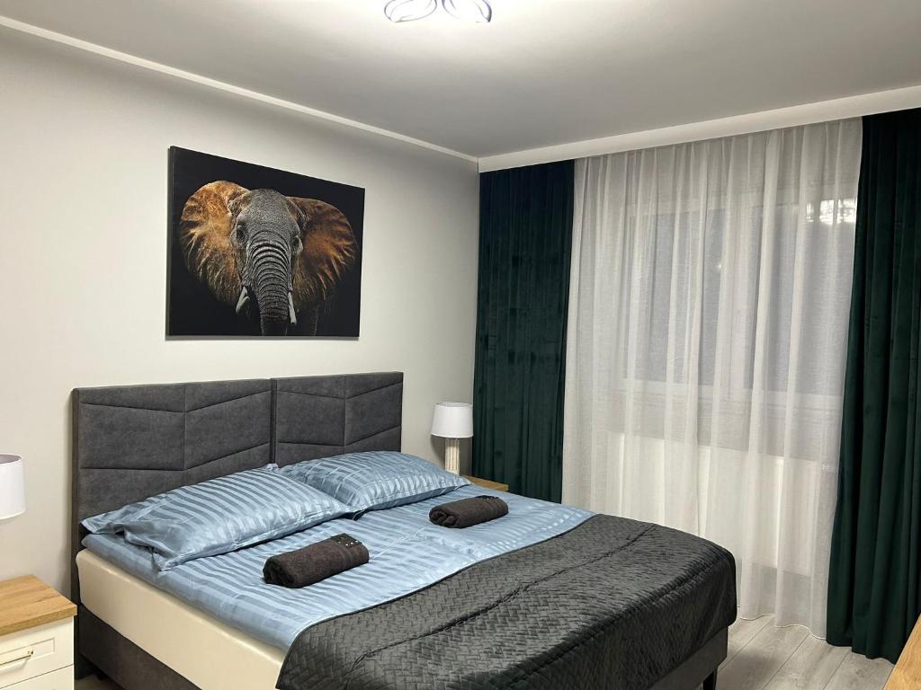 um quarto com uma cama com uma fotografia de um elefante em Solanki Central Apart em Inowrocław