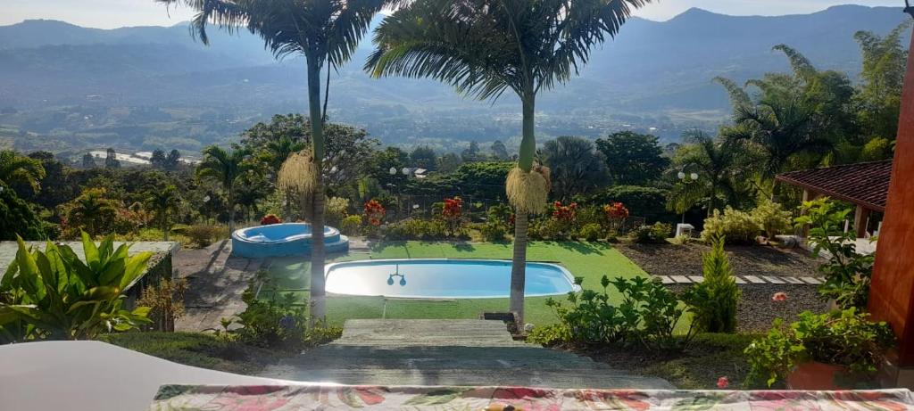 een zwembad in een tuin met palmbomen bij La Casa de Yeny in Borrero Ayerbe
