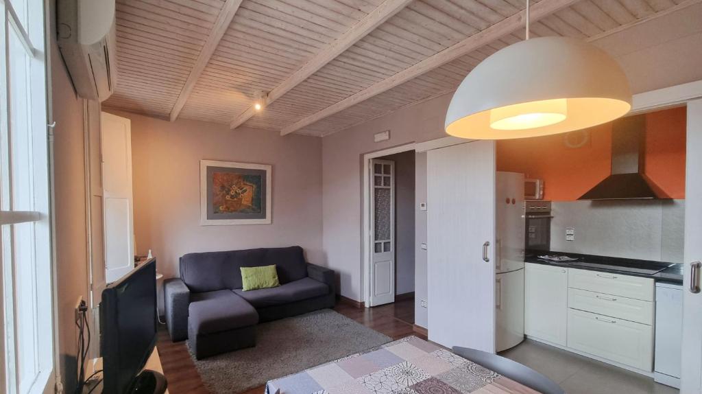 sala de estar con sofá azul y cocina en Apartment Sant Francesc, en Olot