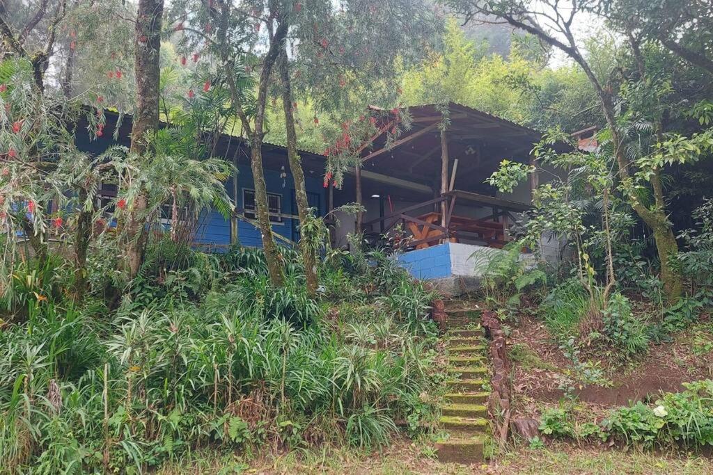 Barva