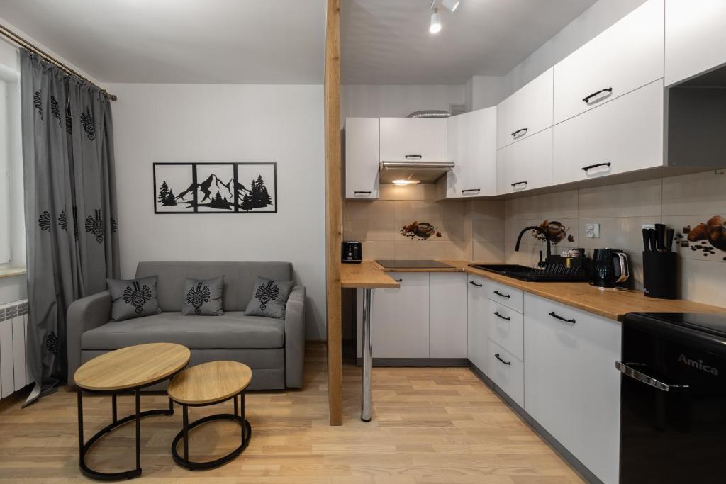 Kuchyň nebo kuchyňský kout v ubytování Apartament City Center Cichy Zdrój