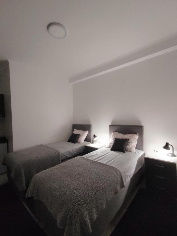 Postel nebo postele na pokoji v ubytování Apartman Centar Ivanjica